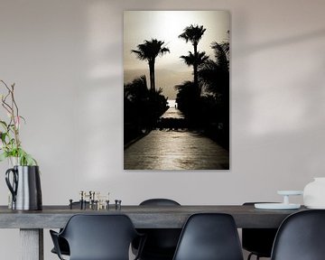 Homme sur une allée de palmiers sur la plage de Boa Vista sur Raphotography