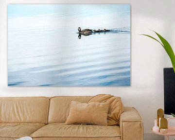 Swimming ducks, mother with children by Henk Verheyen
