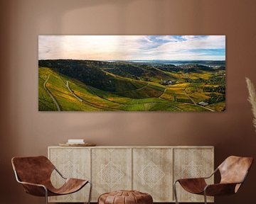 Vineyard landscape during sunrise by Raphotography