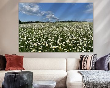 Un champ en fleur sous un ciel d'été sur Claude Laprise