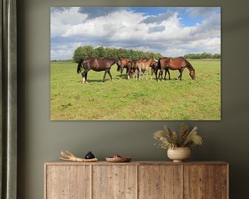 Een kudde paarden met veulens in een weidelandschap von Henk van den Brink