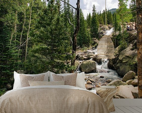 Aperçu de la chambre