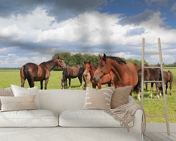 Een kudde paarden met veulens in een Drents weidelandschap