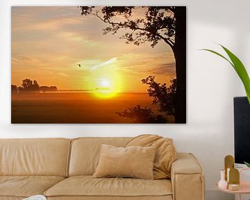 zonsopkomst met vogel