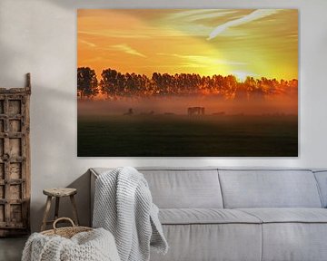 zonsopkomst met koeien in de mist