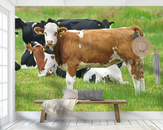 Raumvorschau