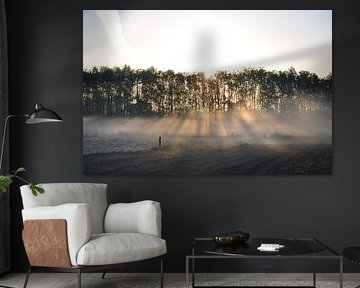 ochtendmist met de zon door de bomen te ter idzard