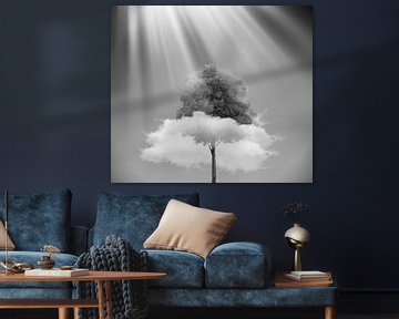 Eine Schwarz-Weiß-Fotografie einer Wolke, die durch einen Baum zieht