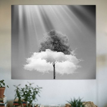 Eine Schwarz-Weiß-Fotografie einer Wolke, die durch einen Baum zieht