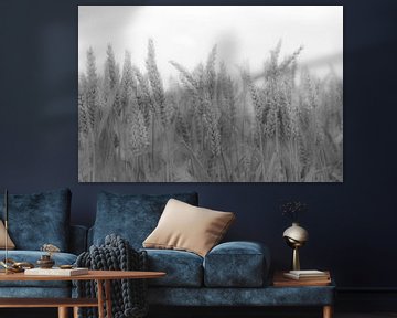 Atmosphärisches Bild von Getreide in Schwarz und Weiß von Ans Bastiaanssen
