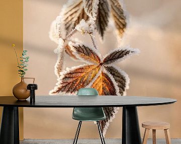 Ripe in the morning light by Marika Huisman fotografie