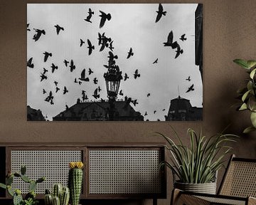Fliegende Vögel auf dem Dam-Platz in Amsterdam von Colinda van Rees