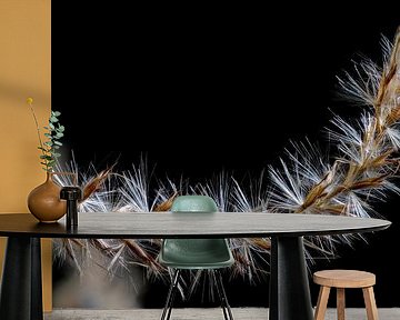 Abstracte macro van een pampagrasblad