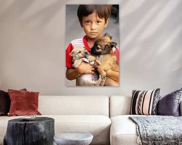 Little boy with dogs in Vietnam