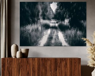 Feldweg im Wald von Peter Smeekens