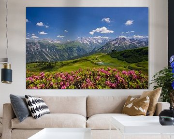 Panorama du Fellhorn vers la crête principale centrale des Alpes d'Allgäu sur Walter G. Allgöwer