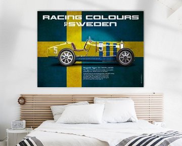 Racekleuren Zweden van Theodor Decker
