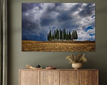 Bedrohliche Wolken über toskanischen Zypressen von Thea Oranje
