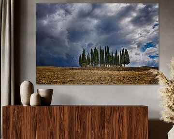 Threatening clouds above Tuscan cypresses by Thea Oranje