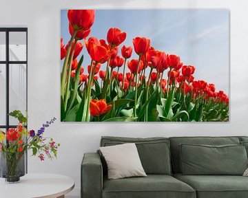 Rode tulpen tegen achtergrond van een helder blauwe lucht van Henk van den Brink