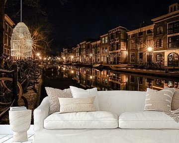 Grachtenpanden aan de Oude Rijn in Leiden van Dirk van Egmond