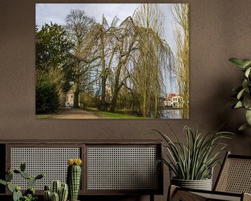 Willows In The Noorderplantsoen by Martijn Wit