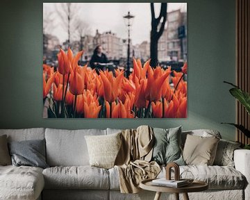Tulipes orange sur Een Wasbeer