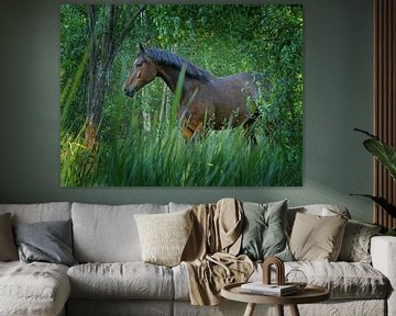 Paard omringd door groene natuur. van Albert Brunsting