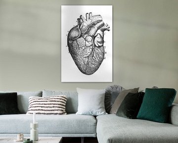 Herz Anatomie von Pixel4ormer