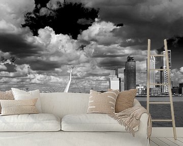 Rotterdam vanaf het water van Thomas van der Willik