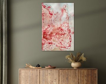 Rood en Roze Abstracte Foto | Water van Nanda Bussers