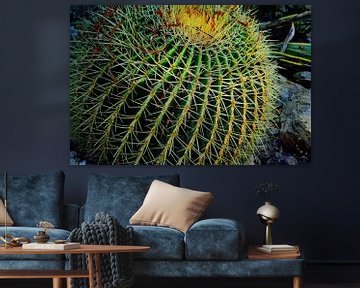 Cactus van Jolien De Vulder