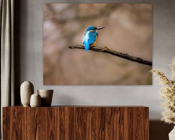 The kingfisher! by WILBERT HEIJKOOP photography