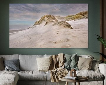 plage de dunes et mer du Nord avec une tempête sur eric van der eijk