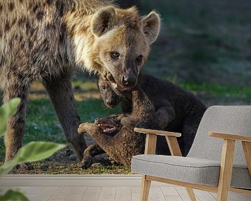 Hyena corrigeert haar welp van Isabella Robbeson