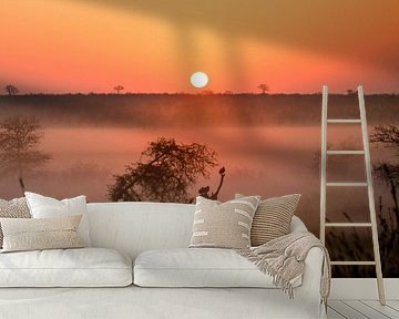 Een mistige zonsopgang in het Krugerpark in Zuid-Afrika van jeopalu