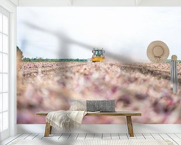 Uienrooien (landbouw)