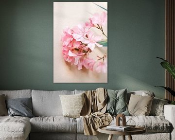 Pastelroze Bloemen // Natuurfotografie van Diana van Neck Photography