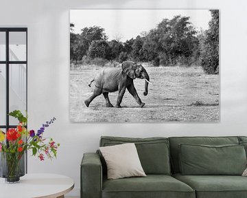 Elefantenbaby auf dem Vormarsch von Sander Voost