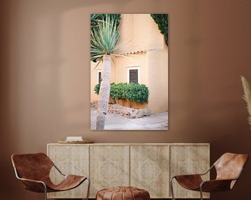Maison en terre cuite à Ibiza // Photographie de voyage