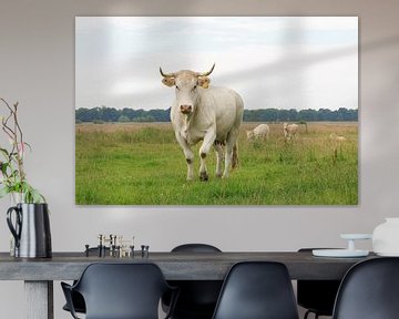 Blonde d'Aquitaine koe met  stier en kalveren op de achtergrond van Henk van den Brink