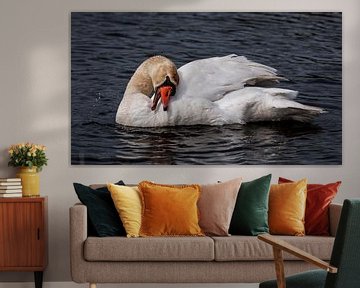 White swan by Loek Lobel
