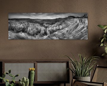 Bryce Canyon National Park in zwart-wit. van Manfred Voss, Schwarz-weiss Fotografie