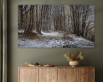 Une touche d'hiver dans la forêt d'Eyser sur Rob Boon