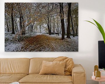 Een vleugje winter in het Eyserbos van Rob Boon