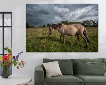 horse in the pasture. by Tilly Meijer