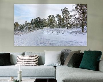 Winter op de heide - Lüneburger Heide van Gisela Scheffbuch