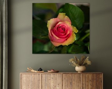 Rose met gele vintage liefdes roos van Jolanda de Jong-Jansen