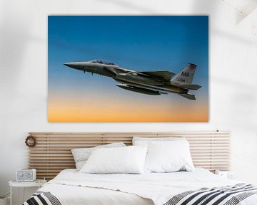 F-15 Eagle, McDonnell Douglas F-15 Eagle, USAF van Gert Hilbink