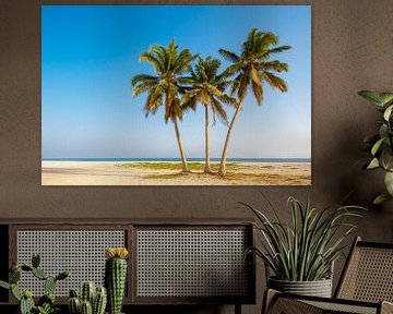 Tropical palm beach in Oman. by Ron van der Stappen